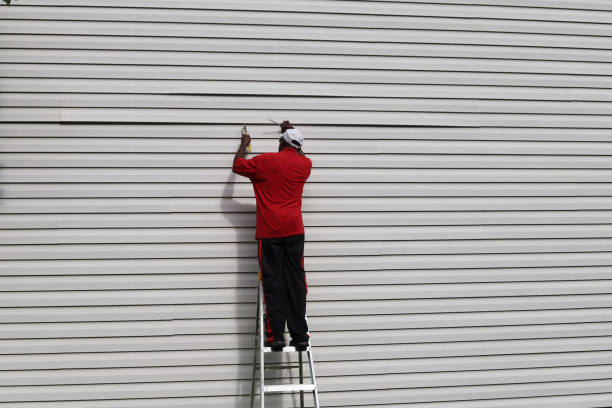 Affordable siding repair and maintenance services in Petoskey, MI