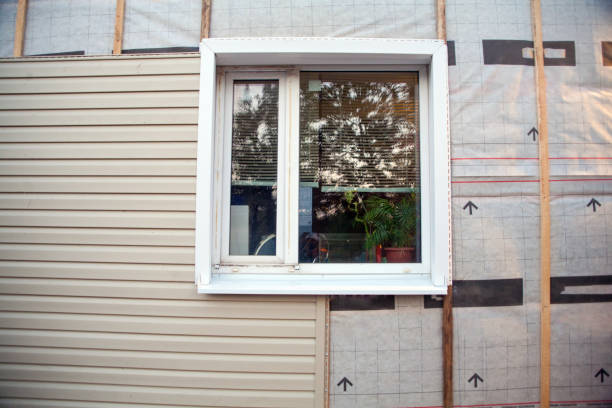 Best Fiber Cement Siding Installation  in Petoskey, MI