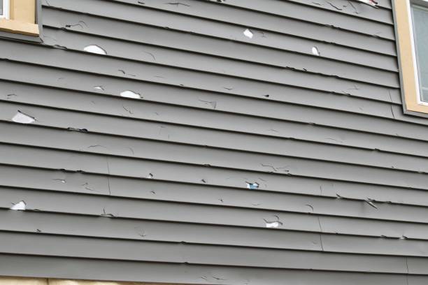  Petoskey, MI Siding Installation Pros